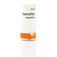 Dr.Hauschka Lippenpflege Stift 4,9g Preisvergleich