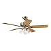 Hunter 52" Inch Ceiling Fan Coastal Breeze Antique Brass w/ Light Kit : 25482
