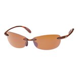 Filament Sunglasses