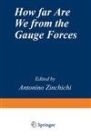 How far are we from the gauge forces