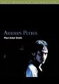 Amores Perros (BFI Modern Classics)