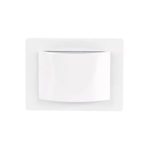 GE 56431 Directional Accent Incandescent Light by
