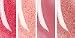 Laura Mercier Mini Lip Glace Set ($44 Value) Mini Lip Glacé Set