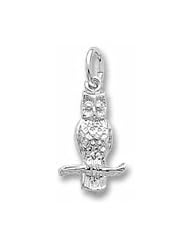 Owl Charm