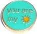 Clearly Charming You Are my Sunshine Floating Heart Locket Charm