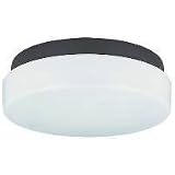 7645-68 - SeaGull Lighting Two-Light Outdoor