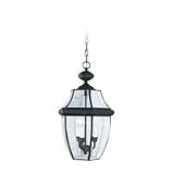 Sea Gull Lighting Curved Beveled Black Outdoor Hanging Pendant - B000LS1AX2