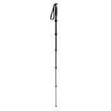 Gitzo GM2560T Carbon Fiber 6-Section 6X Traveler Monopod