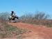 11V0eC79QaL. SL75  Dirt Jump