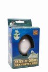 Hatch & Grow- Sea Turtle, 2(Pack of 4)