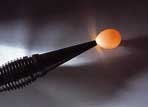 Cool Lume High Intensity Egg Candling Lamp - Candler