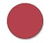 Ek Success PSPNP11 1-1/4-Inch Paper Shapers Circle Nesting Punch