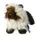   - Webkinz Himalayan Cat with Trading Cards