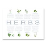 Lifestyle Collections Glass Chopping Board - Herb (facts) - 1203TEHEU