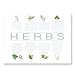 Lifestyle Collections Glass Chopping Board - Herb (facts) - 1203TEHEU