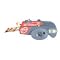 TEENAGE SLUMBER PARTY