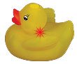 Flashing Duck with Fountain Top