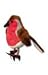 Toys : RSPB Robin Finger Puppet