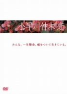 小早川伸木の恋 DVD-BOX