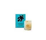 Interieur Figuier candle