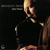 Other Places by Brandon Fields