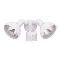 Heath Zenith SL-5105-WH CreepZone and Dual Brite Motion Sensor Security Light, White