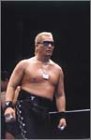 新日本プロレス 2004年度カレンダー
