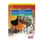 Revise for Edexcel GCSE Mathematics: Foundation (Pre 2006 Edexcel GCSE Mathematics)