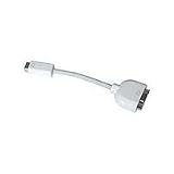 Apple Mini-dvi To VGA Adapter
