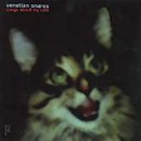 Songs About My Cats