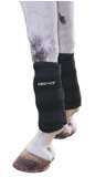 Mackinnon Ice Horse Tendon Wraps Black - F2000