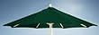 Market Umbrella (BJ-1006-03HG)