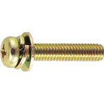 トラスコ中山：ｔｒｕｓｃｏ　クロメートナベ頭ｓｗ・ｗ付ねじ寸法ｍ４×３０　仕様：●寸法（ｍｍ）ｄ×ｌ　Ｂ５０－０４３０
