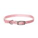 Aspen Pet 3/8 Single Ply Nylon Dog and Cat Collar