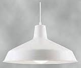Pendants Westinghouse 66198