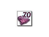Upgrade Visual Foxpro Professional 7.0 French Upgrade
