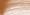 Terracotta Bronzing Brush