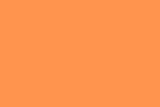 Bazic Poster Board, 22 x 28 Inches, Fluorescent Orange (Case of 25) (5032-25)