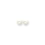 14k 5mm Cultured Pearl Earrings - SE136