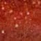 Dusted Apricot