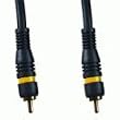 100ft Male to Male RCA Composite Video Cable