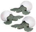 11Vm1IsorhL. SL160  Safari LTD Mini Sea Turtle Hatchlings