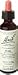 Flower Essence Oak Bach Flower 20 ml