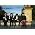 Thumbnail image of The Kooks