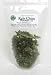Healthy Foods – Raw and Cooked Kale Chips!