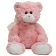 TY Classic Plush - DEWDROPS the Bear