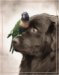 Dog and Bird - Artist: Anonymous - Art Print Poster Size: 15.75 by 19.75 inches Art Print on Canvas