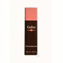 Galler Framboise (Fresh Raspberry) Dark Chocolate- 2.5oz Bar