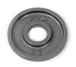 2.5 Pound VTX Olympic Weight Plates - 1 Pair