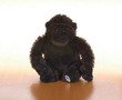Gorilla Lil Kinz